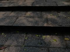 -火炉山森林公园