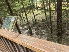 -双山岛