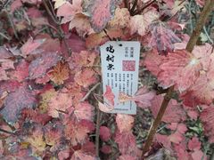 -翠湖国家城市湿地公园
