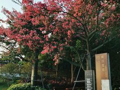 -深圳湾公园(南山区)