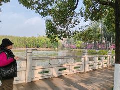 -翠湖公园
