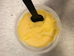 -都念榴莲·城市榴莲