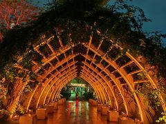 -文华公园(禅城区)