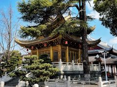 -上海东林寺(金山区)