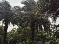 -广交会威斯汀酒店