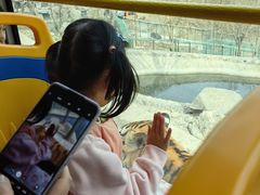 -栾川竹海野生动物园