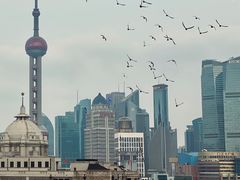 -福州大楼写字楼