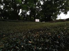 -西湖风景区十里琅珰-五云山