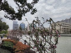 -苏州河梦清园环保主题公园