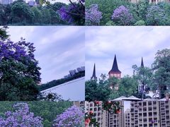 -成都南湖公园