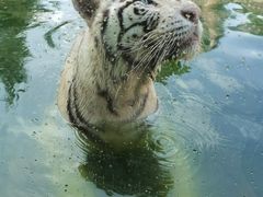 -杭州野生动物世界