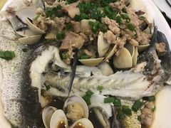 -台山美食一绝阿四台山黄鳝饭(阿四创作店)