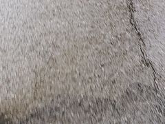 -蚝家菜馆(沙井店)