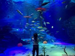 -沈阳海洋探索中心