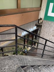 -蚂蚁造型俱乐部