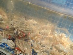 -小时候焗海鲜(鄞州万达店)
