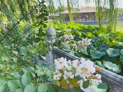 -大明幻境第一城