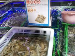 -盒马X会员店(王府井奥莱UP TOWN店)