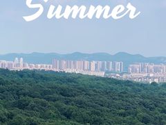 -灵谷景区