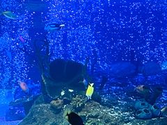 -沈阳海洋探索中心