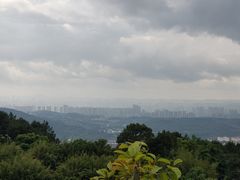 -铁山坪森林公园