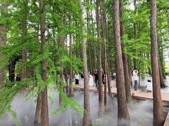 -东湖落雁景区