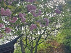 -上海佘山国家森林公园西佘山园