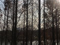 -贵阳市花溪国家城市湿地公园