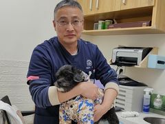 -美联众合动物医院·24h京西诊疗中心