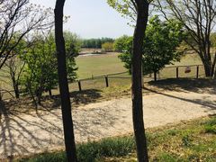 -北京麋鹿生态实验中心