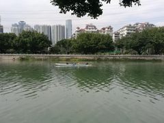 -光明港公园