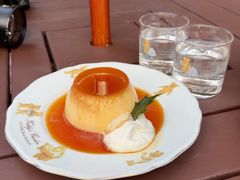 -伊豆泰迪熊博物馆