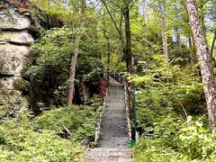 -汤旺河林海奇石景区