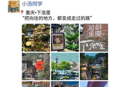 -杨记隆府(重庆总店)