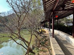 -上海醉白池公园