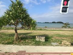 -美国村