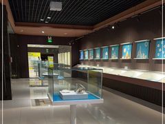 -青岛贝壳博物馆