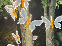 -成飞公园