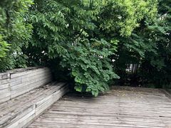 -合肥大剧院