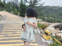 -广东惠东海龟国家级自然保护区