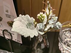 -gaga(深圳京基KKMALL店)