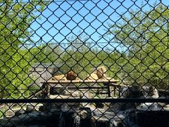 -北京野生动物园