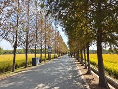 -嘉北郊野公园
