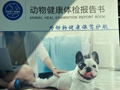 -芭比堂动物医院·犬猫全科·异宠专科(雁塔分院)
