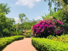 -西双版纳勐泐文化旅游区