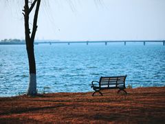 -漕湖湿地公园