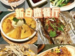 -新白鹿餐厅(城西银泰城店)
