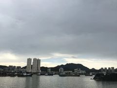 -野狸岛