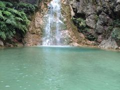 -南海湾森林生态园