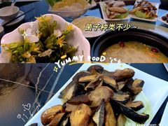 -野菌皇海景野生菌火锅(滨海大道店)